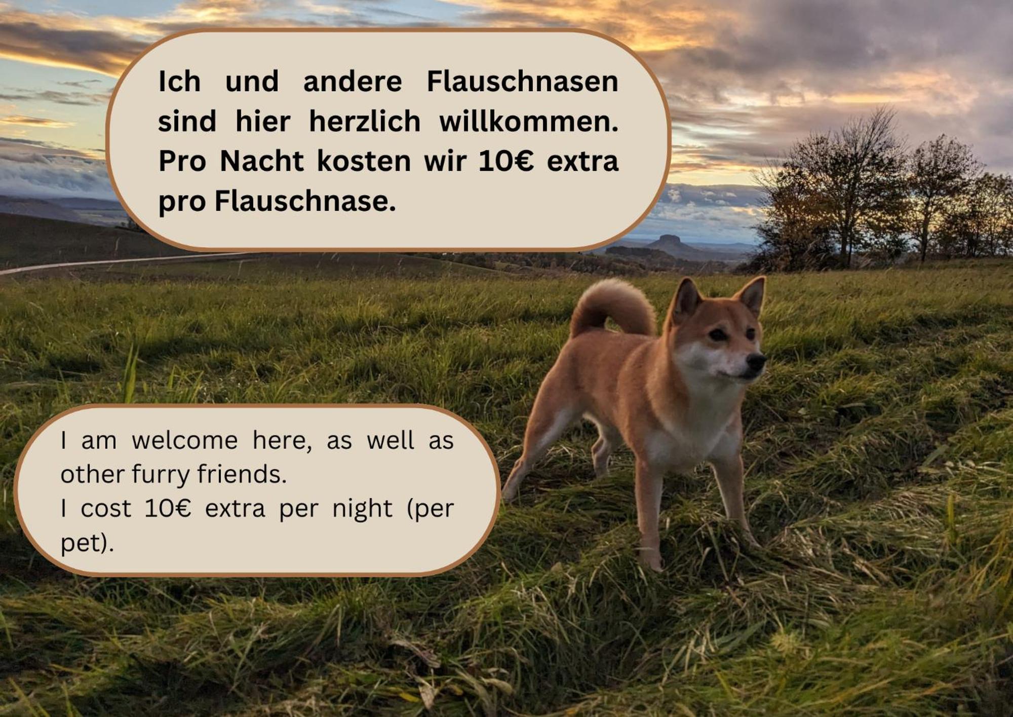 S3 - Urlaubsmagie - Fuer 4P Mitten Im Elbsandsteingebirge Sebnitz Bagian luar foto